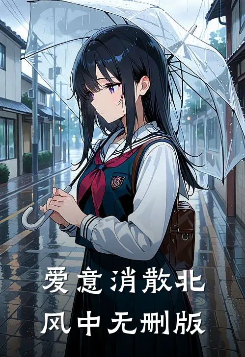 爱意消散北风中无删版