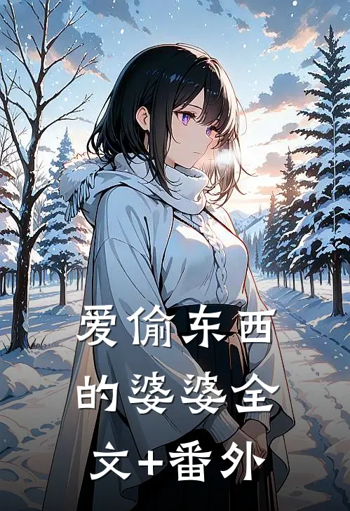 爱偷东西的婆婆全文+番外