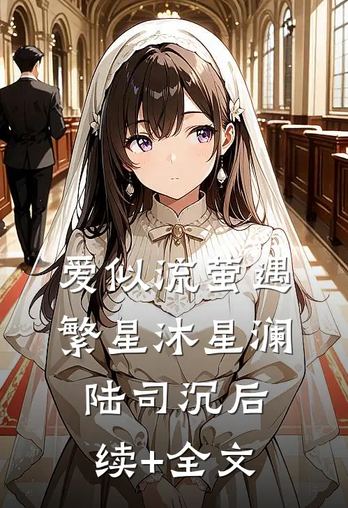 爱似流萤遇繁星沐星澜陆司沉后续+全文