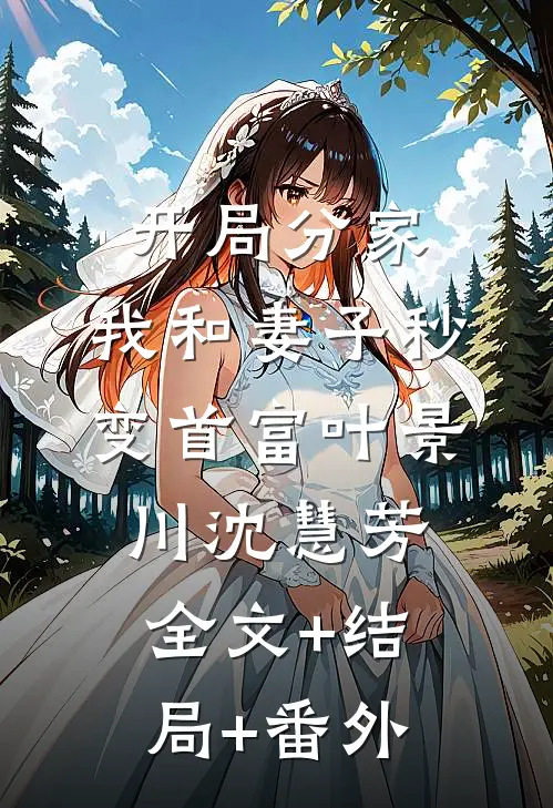 开局分家，我和妻子秒变首富叶景川沈慧芳全文+结局+番外