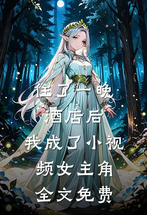 住了一晚酒店后，我成了小视频女主角全文免费