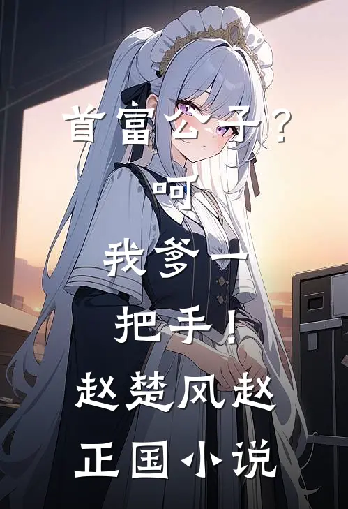 首富公子？呵，我爹一把手！赵楚风赵正国小说