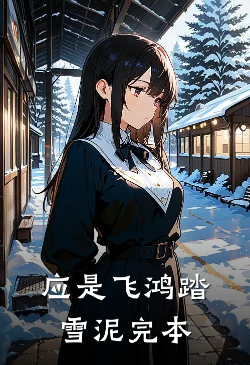 应是飞鸿踏雪泥完本
