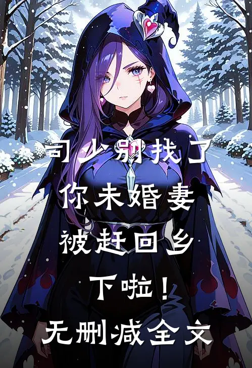 司少别找了，你未婚妻被赶回乡下啦！无删减全文