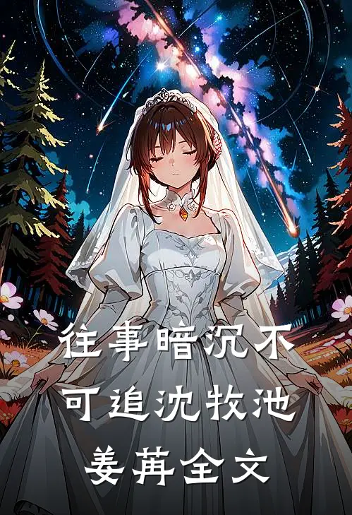 往事暗沉不可追沈牧池姜苒全文