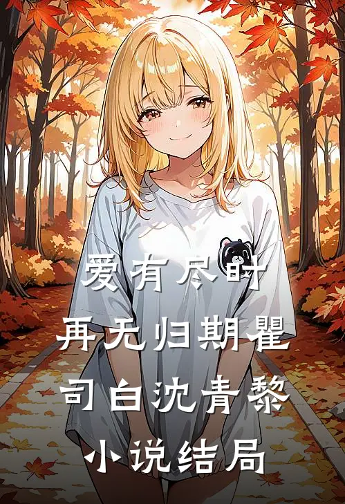 爱有尽时，再无归期瞿司白沈青黎小说结局