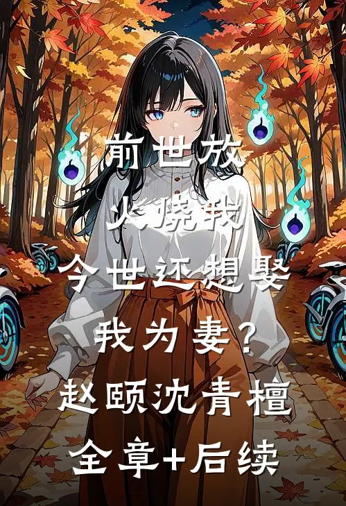 前世放火烧我，今世还想娶我为妻？赵颐沈青檀全章+后续