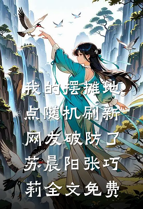 我的摆摊地点随机刷新，网友破防了苏晨阳张巧莉全文免费