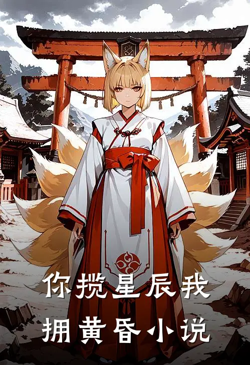 你揽星辰我拥黄昏小说