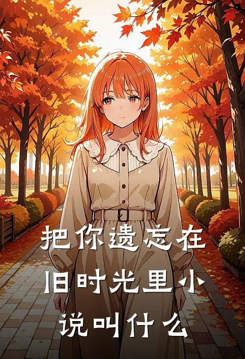 把你遗忘在旧时光里小说叫什么