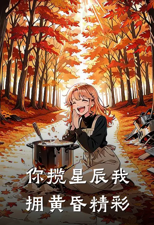 你揽星辰我拥黄昏精彩