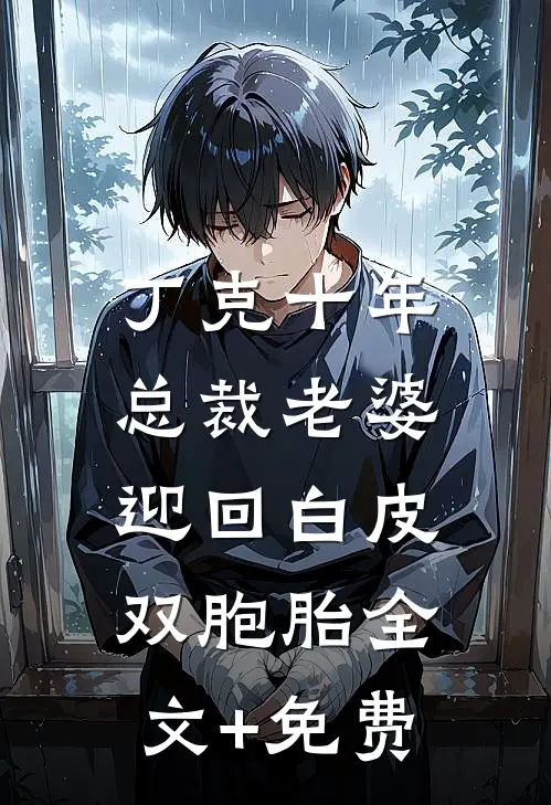 丁克十年，总裁老婆迎回白皮双胞胎全文+免费
