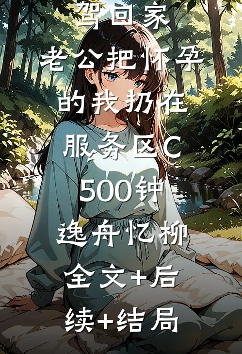 春节自驾回家，老公把怀孕的我扔在服务区C500钟逸舟忆柳:全文+后续+结局