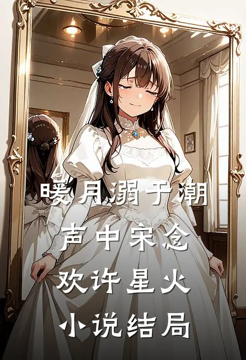 暖月溺于潮声中宋念欢许星火小说结局