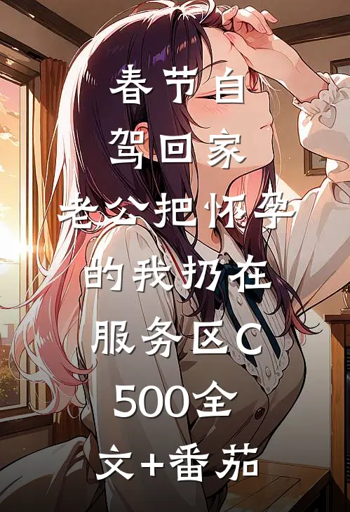 春节自驾回家，老公把怀孕的我扔在服务区C500全文+番茄