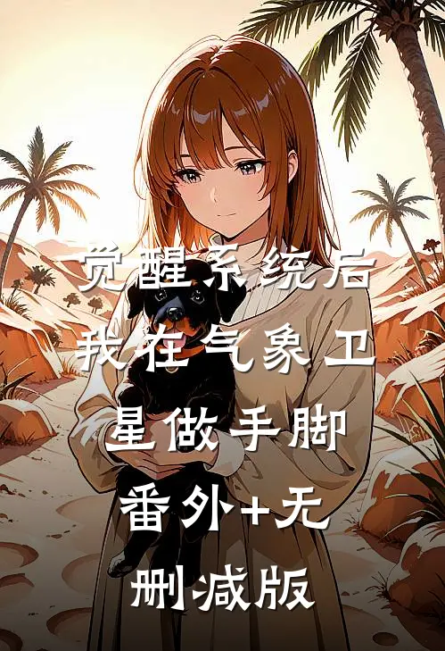 觉醒系统后，我在气象卫星做手脚:番外+无删减版