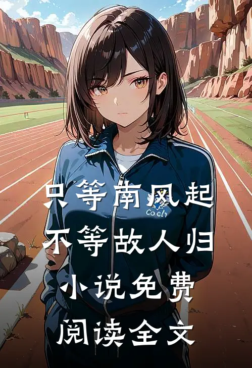 只等南风起，不等故人归小说免费阅读全文