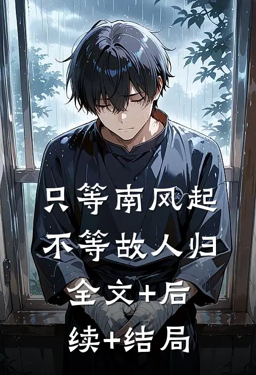只等南风起，不等故人归全文+后续+结局