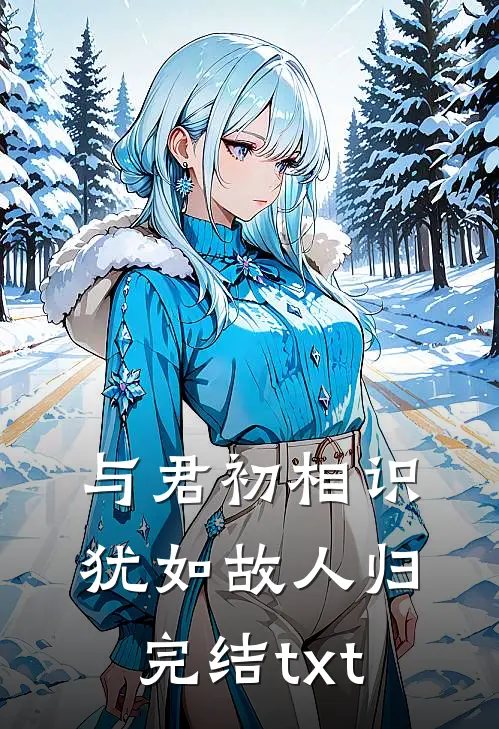 与君初相识，犹如故人归完结txt