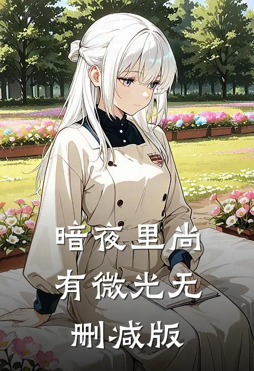 暗夜里尚有微光无删减版