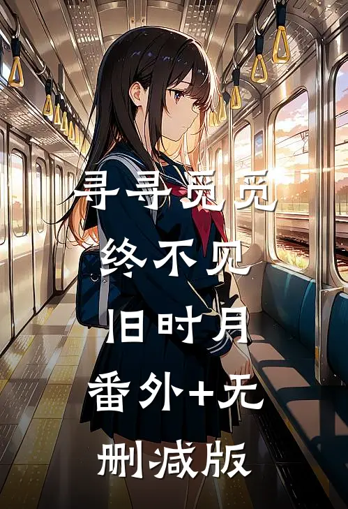 寻寻觅觅，终不见旧时月:番外+无删减版