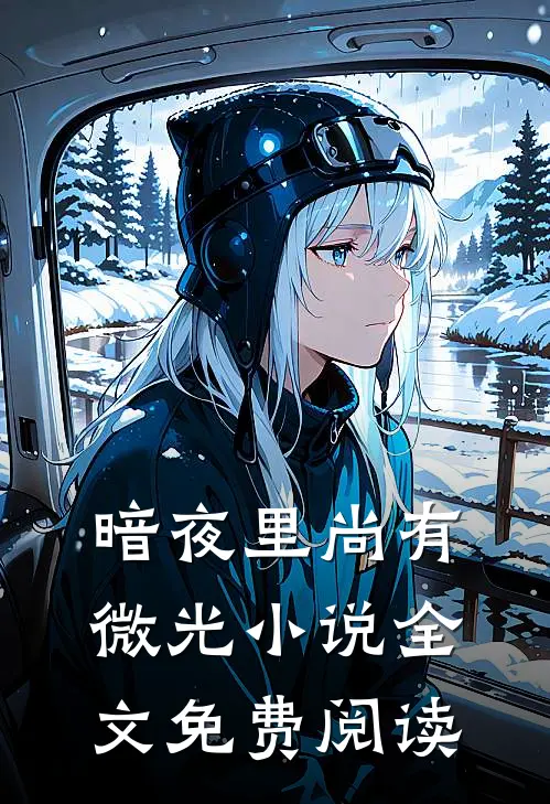 暗夜里尚有微光小说全文免费阅读