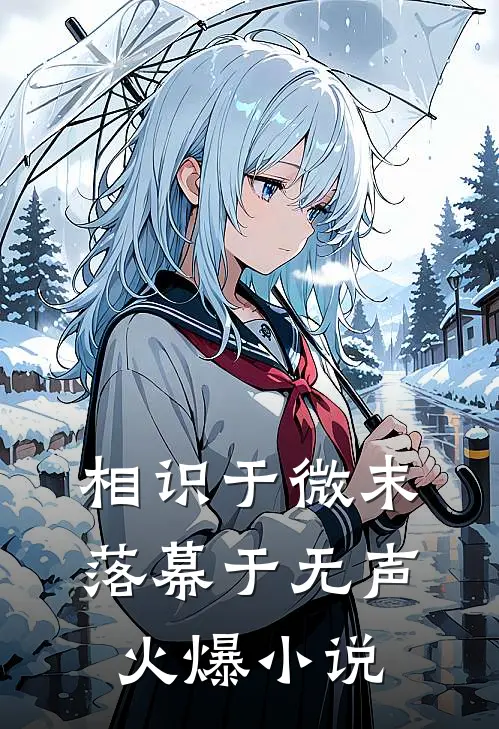 相识于微末，落幕于无声火爆小说