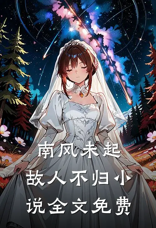 南风未起，故人不归小说全文免费