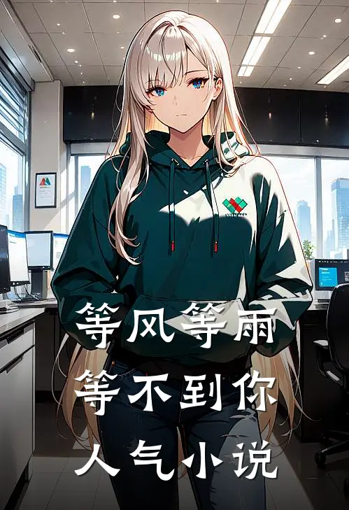 等风等雨等不到你人气小说
