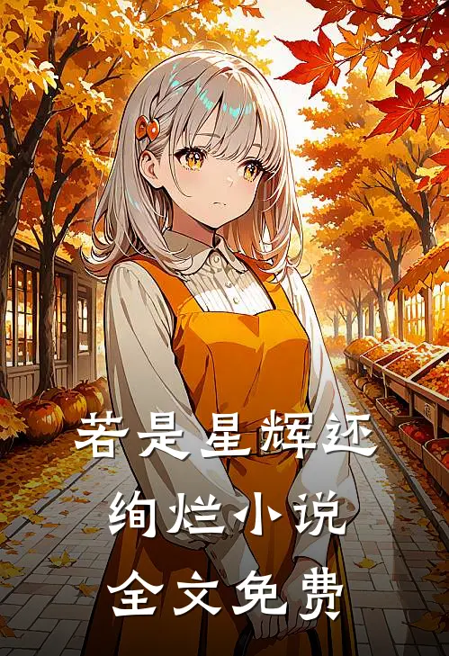 若是星辉还绚烂小说全文免费