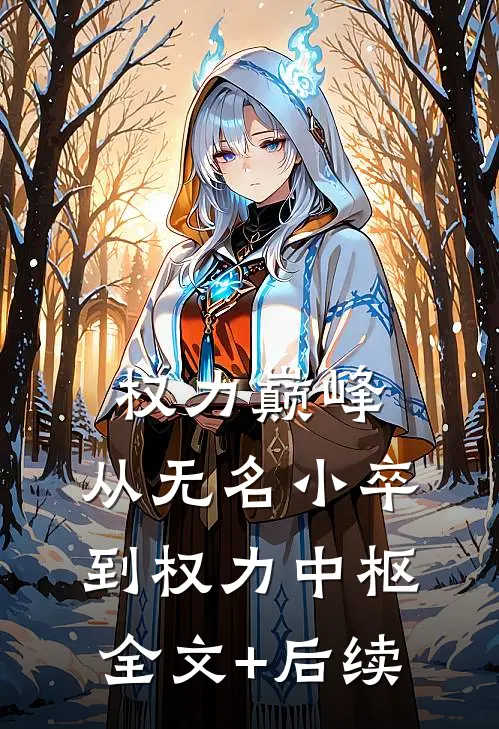权力巅峰，从无名小卒到权力中枢全文+后续