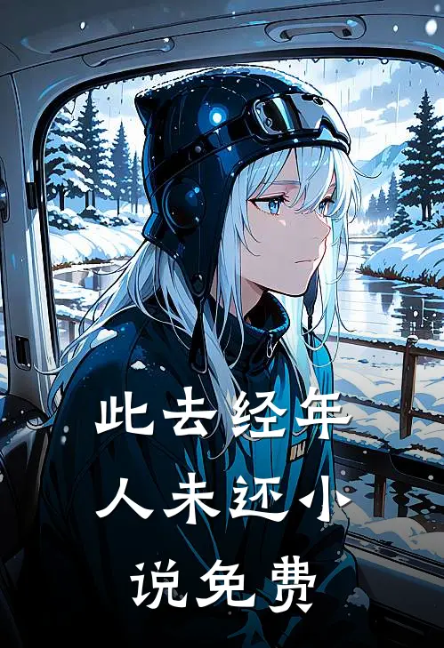 此去经年人未还小说免费