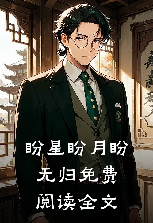 盼星盼月盼无归免费阅读全文