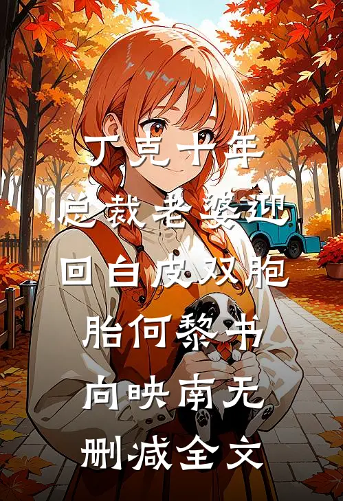 丁克十年，总裁老婆迎回白皮双胞胎何黎书向映南无删减全文
