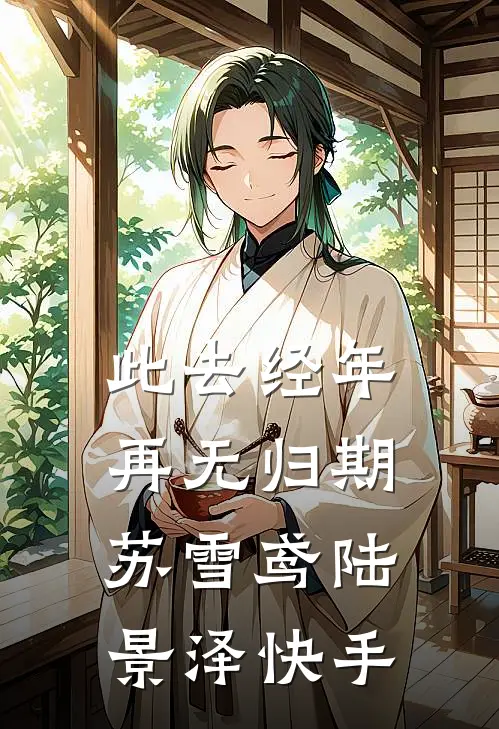 星河与你皆璀璨无错版