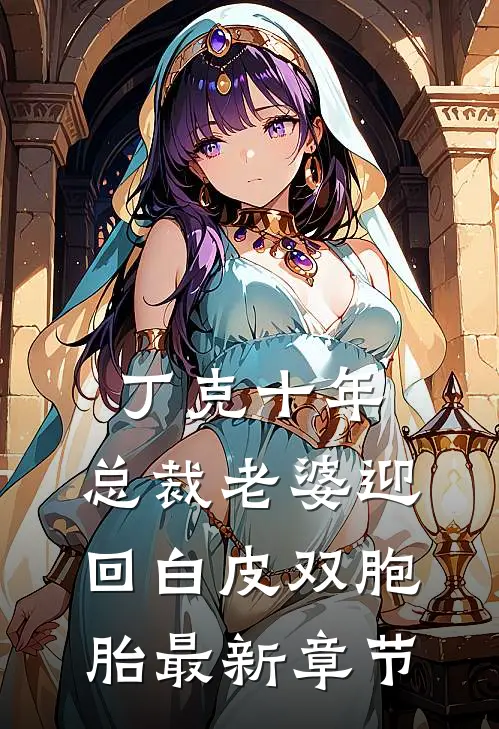 丁克十年，总裁老婆迎回白皮双胞胎最新章节