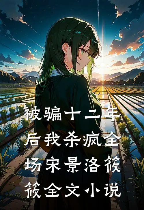 被骗十二年后我杀疯全场宋景洛筱筱全文小说
