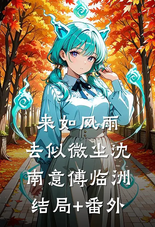 来如风雨，去似微尘沈南意傅临洲:结局+番外