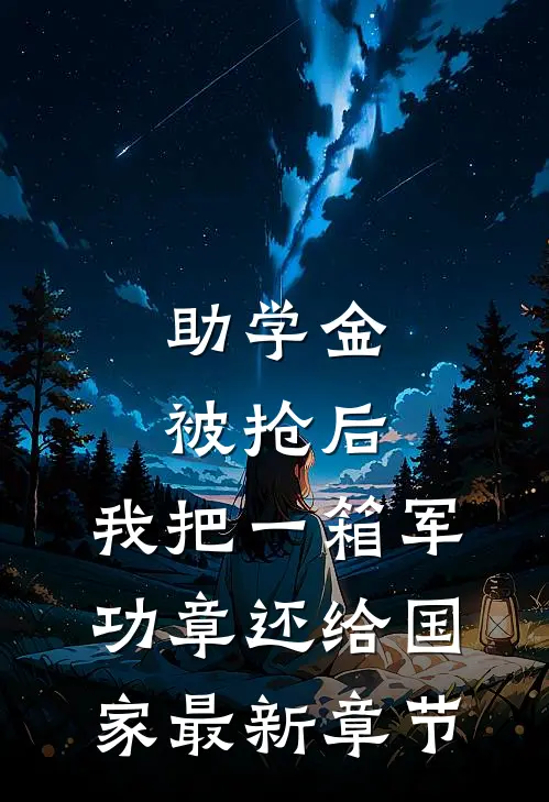 助学金被抢后，我把一箱军功章还给国家最新章节