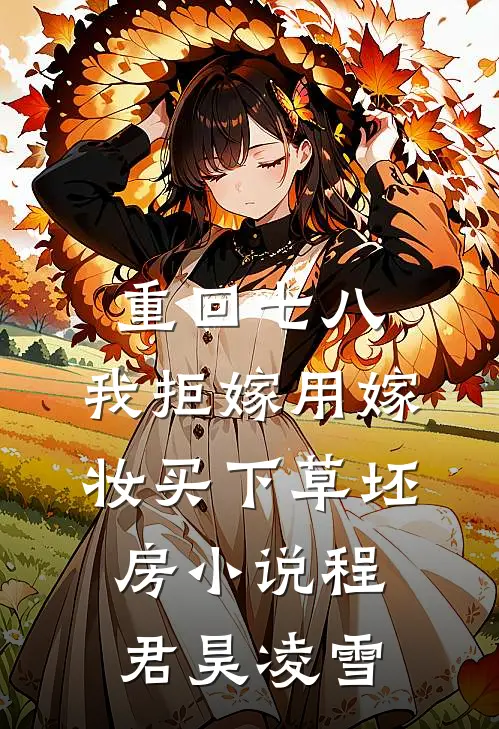 重回七八，我拒嫁用嫁妆买下草坯房小说程君昊凌雪