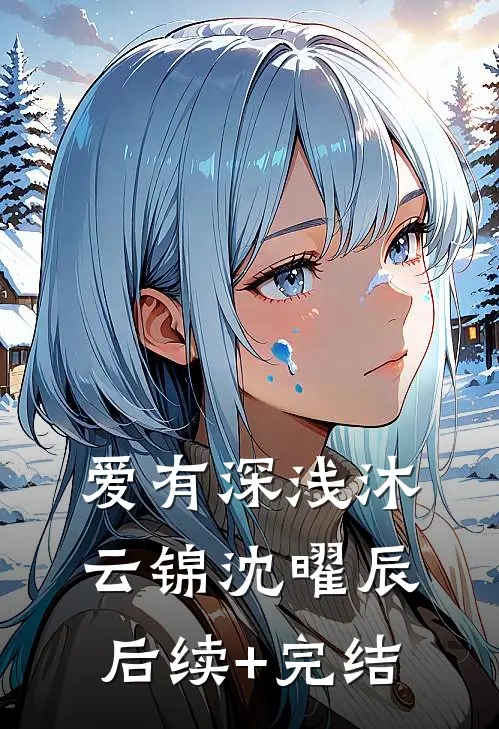 爱有深浅沐云锦沈曜辰后续+完结