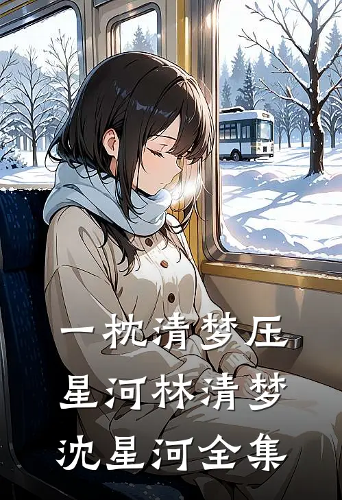 一枕清梦压星河林清梦沈星河全集