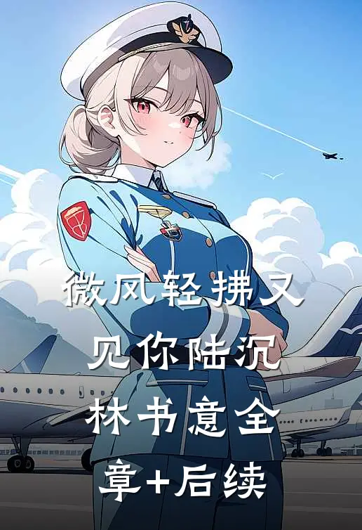 微风轻拂又见你陆沉林书意全章+后续