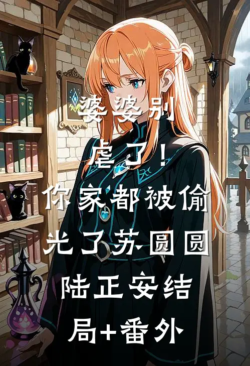 婆婆别虐了！你家都被偷光了苏圆圆陆正安:结局+番外