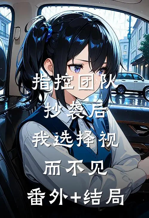 指控团队抄袭后，我选择视而不见:(番外)+(结局)