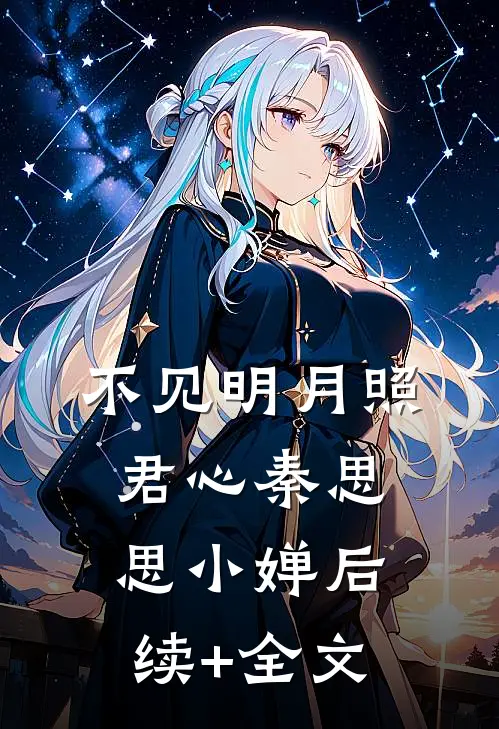 不见明月照君心秦思思小婵后续+全文