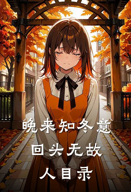 晚来知冬意，回头无故人目录