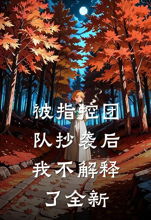 被指控团队抄袭后，我不解释了全新