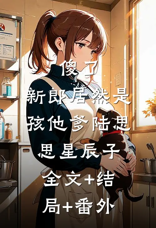 傻了，新郎居然是孩他爹陆思思星辰子全文+结局+番外