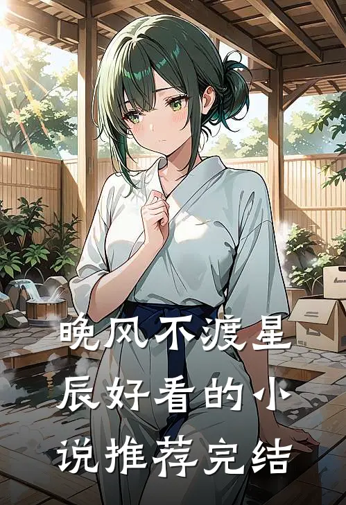 晚风不渡星辰好看的小说推荐完结